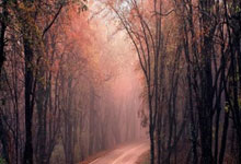 恩佐维尔德与太阳对垒，比赛中哪支球队的防守更加出色？